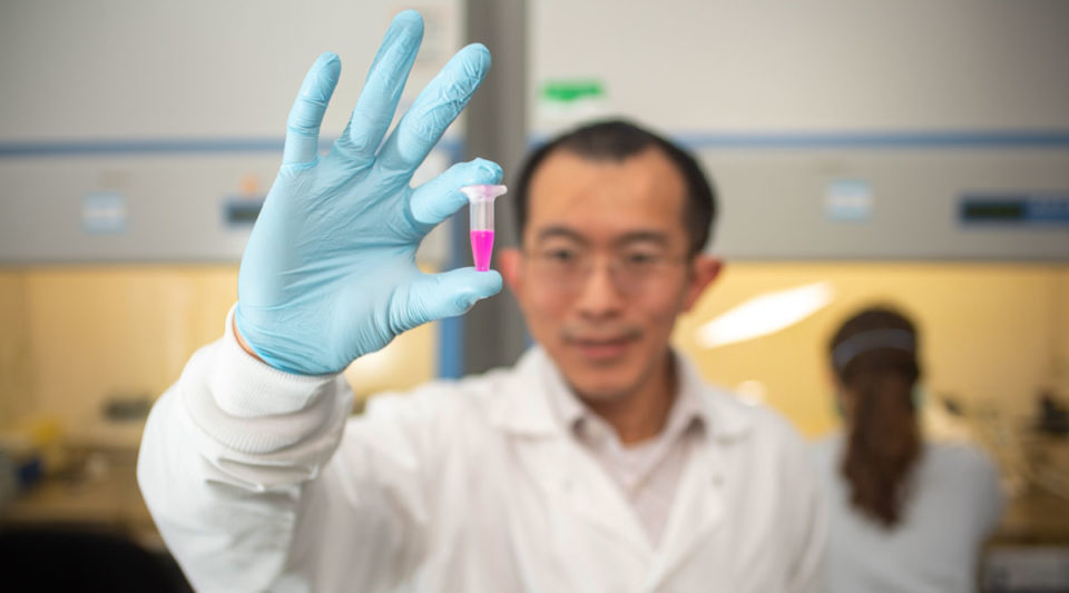 Donny Hanjaya-Putra assistant professor of aerospace and mechanical engineering holds a vial of specially engineered nanoparticle backpacks.