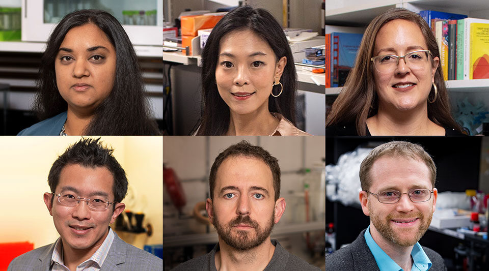 6 Notre Dame Faculty who were recently awarded NIH MIRAs.