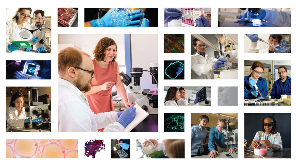 Pinar Zorlutuna featured left center among a collage of Notre Dame bioengineering images