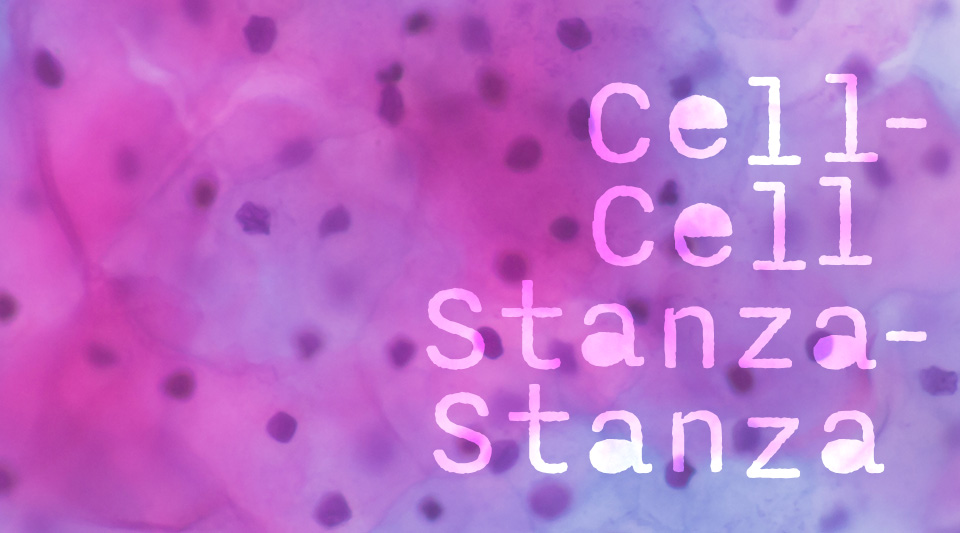 "Cell-Cell Stanza-Stanza" overlaying an image of cells.