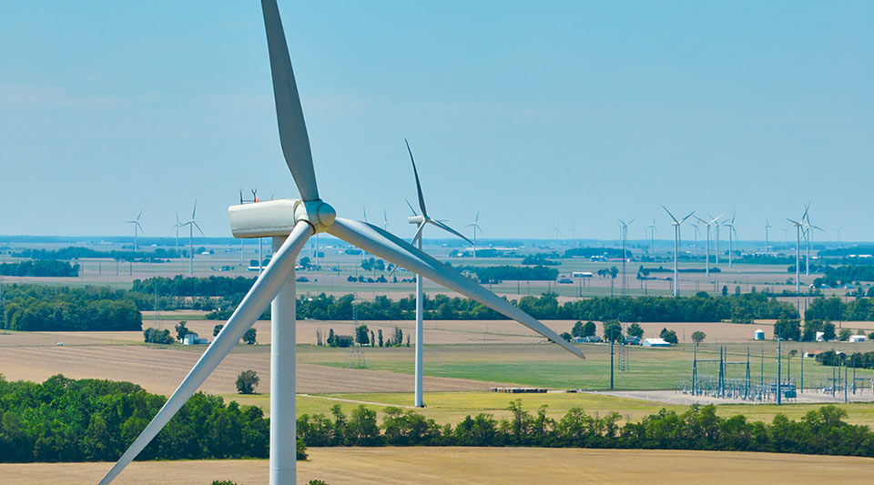 A large wind turbine in the foreground with several turbines scattered across a sprawling wind farm in the background. The landscape features open fields, trees, and utility infrastructure under a clear blue sky.