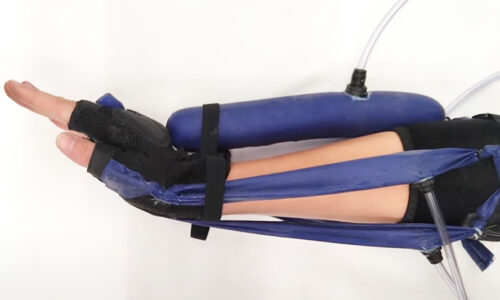 Soft, air-filled “muscles” power a new robotic exosuit created at Notre Dame