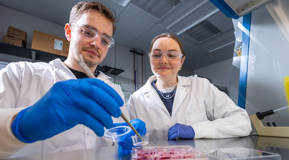 Two researchers in white lab coats and safety glasses work in a lab. A man in blue gloves uses a tool to transfer liquid into a small container near a multi-well plate with reddish liquid. A woman observes him, smiling softly.