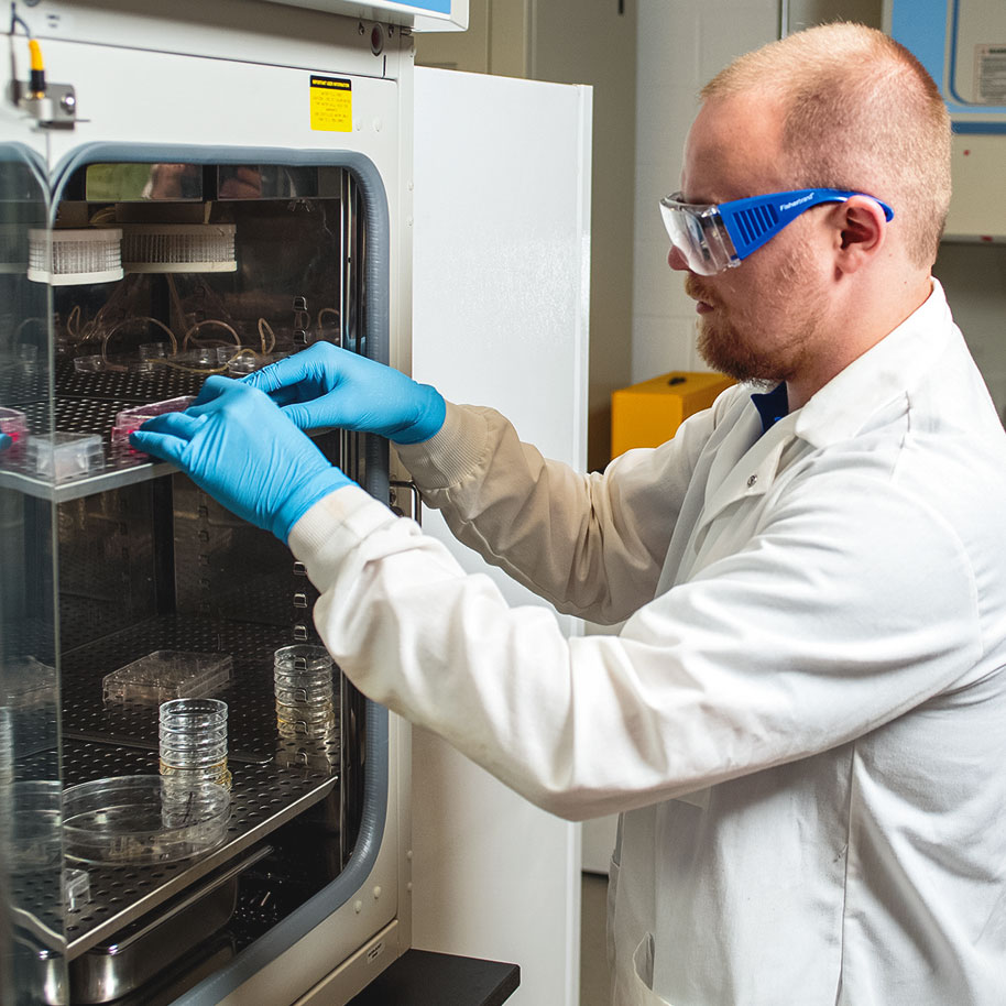 Researcher from Zorlutuna lab adjusting samples