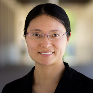 Prof. Lihua Jin